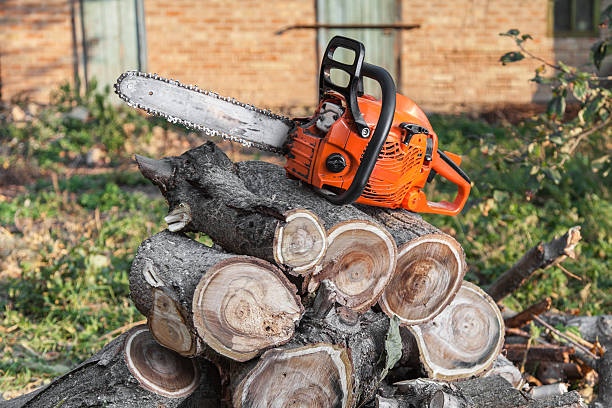 Best Tree Care Services  in Crestwood, KY